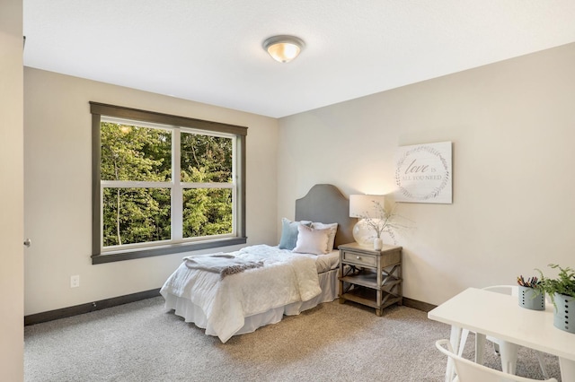 bedroom with carpet