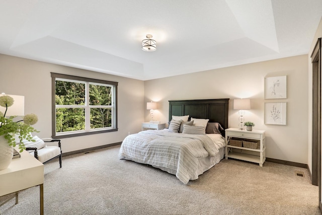 carpeted bedroom featuring a raised ceiling