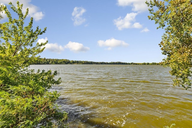 view of water feature