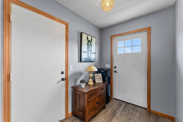 7702 County Road 5 NE, North Branch, MN 55056 - foyer entrance with light wood finished floors and a textured ceiling