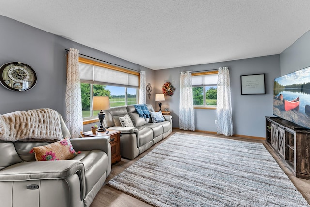 7702 County Road 5 NE, North Branch, MN 55056 - living area featuring a textured ceiling and wood finished floors
