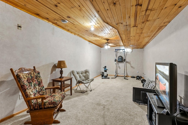 7702 County Road 5 NE, North Branch, MN 55056 - workout area featuring wood ceiling, carpet, and a ceiling fan