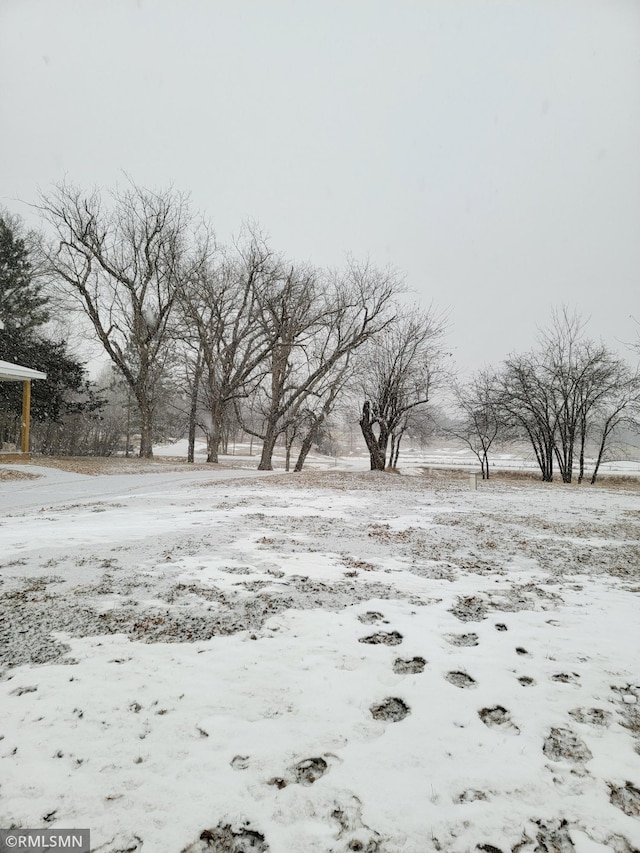 view of yard layered in snow