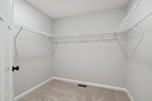 walk in closet featuring carpet floors