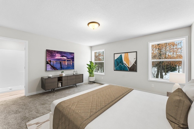 19498 Carson Ct NW, Elk River, MN 55330 - bedroom featuring carpet floors, multiple windows, and a textured ceiling