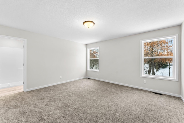 19498 Carson Ct NW, Elk River, MN 55330 - empty room featuring carpet and a textured ceiling