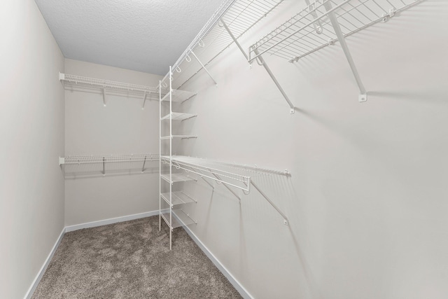 19498 Carson Ct NW, Elk River, MN 55330 - walk in closet with carpet floors