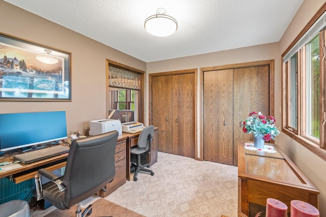 13640 Hagedorn Rd NW, Brandon, MN 56315 - view of carpeted office space