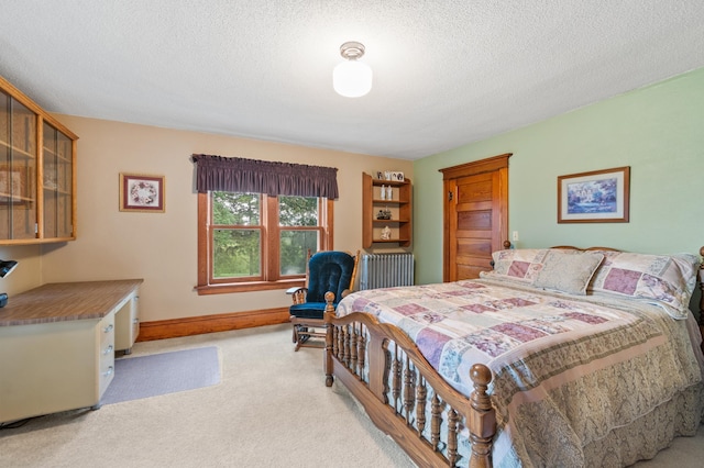 13640 Hagedorn Rd NW, Brandon, MN 56315 - bedroom featuring baseboards, carpet flooring, a textured ceiling, and radiator