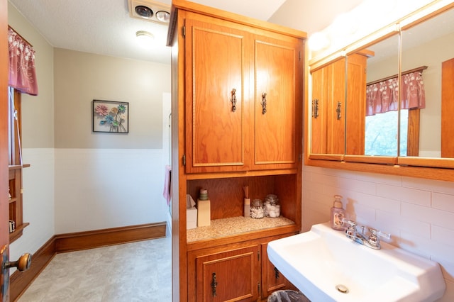 13640 Hagedorn Rd NW, Brandon, MN 56315 - bathroom featuring a sink and tasteful backsplash