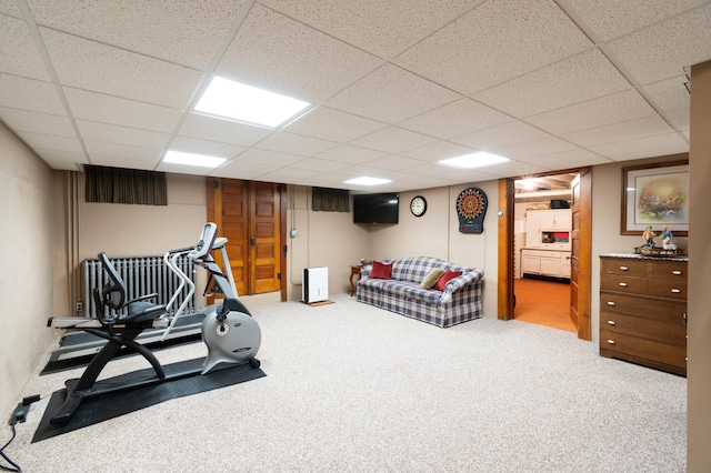 13640 Hagedorn Rd NW, Brandon, MN 56315 - exercise area with a paneled ceiling and carpet