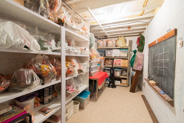 13640 Hagedorn Rd NW, Brandon, MN 56315 - view of storage