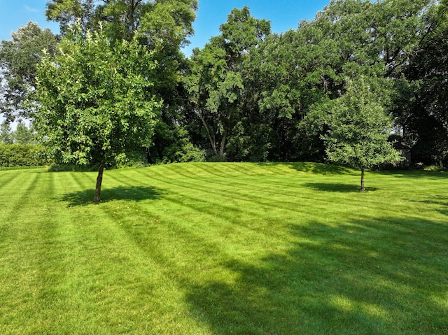 13640 Hagedorn Rd NW, Brandon, MN 56315 - view of yard