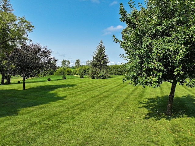 13640 Hagedorn Rd NW, Brandon, MN 56315 - view of yard