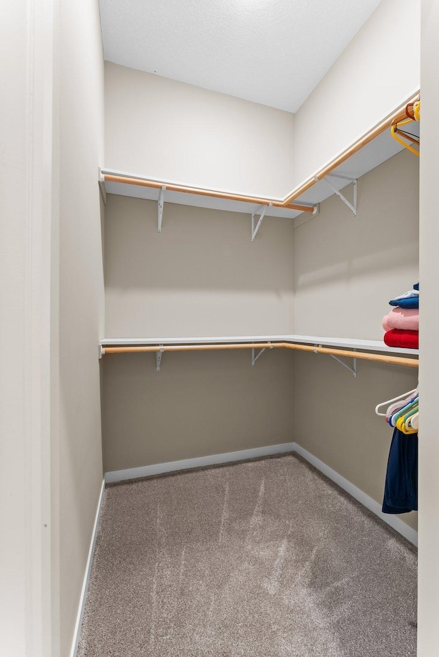 spacious closet with carpet