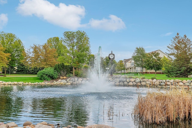 view of water feature