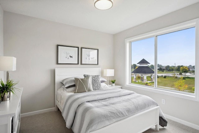 carpeted bedroom featuring multiple windows