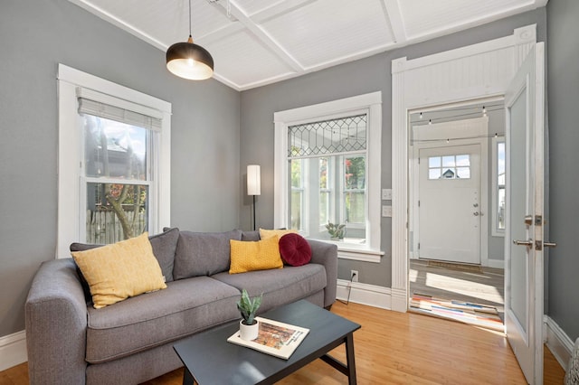 living room with plenty of natural light and hardwood / wood-style flooring