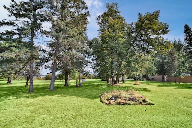 view of home's community with a yard