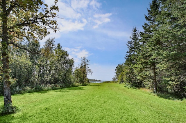 view of yard with a water view and a wooded view