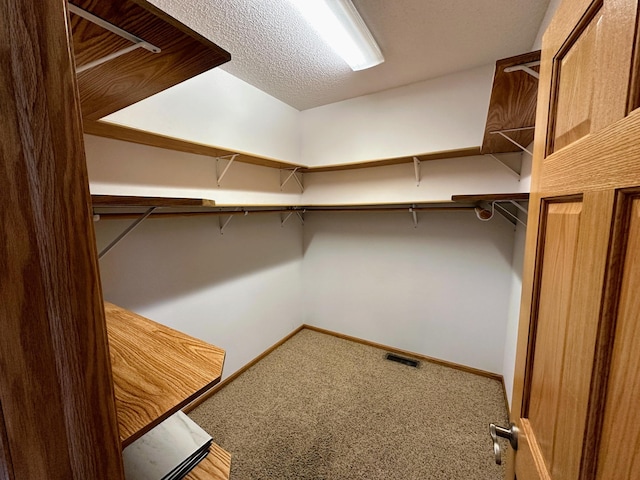 spacious closet featuring carpet