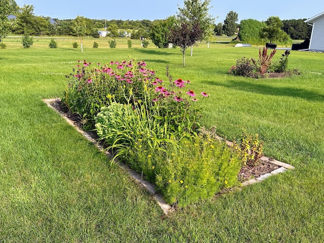 view of yard with a rural view