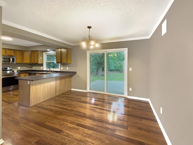 kitchen featuring appliances with stainless steel finishes, kitchen peninsula, dark hardwood / wood-style flooring, and a wealth of natural light