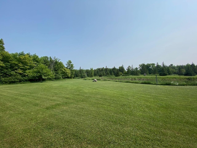 view of yard with a rural view