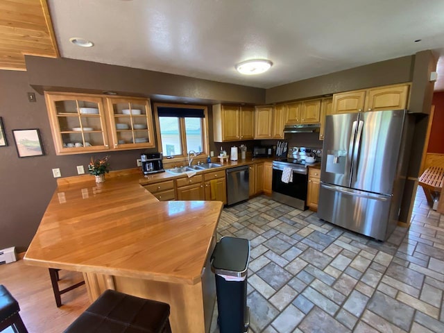 kitchen featuring sink, kitchen peninsula, a baseboard heating unit, and stainless steel appliances