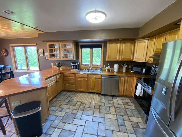 kitchen with sink, kitchen peninsula, and stainless steel appliances