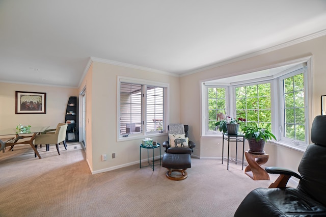 17661 Southridge Ct, Minnetonka, MN 55345 - living area featuring carpet floors, baseboards, and ornamental molding