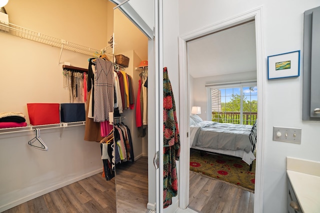 17661 Southridge Ct, Minnetonka, MN 55345 - walk in closet with wood finished floors