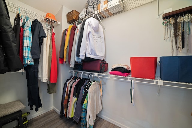 17661 Southridge Ct, Minnetonka, MN 55345 - spacious closet featuring wood finished floors