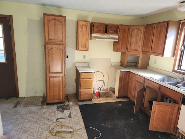 kitchen featuring sink