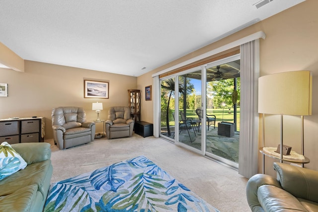 living area with a textured ceiling and carpet
