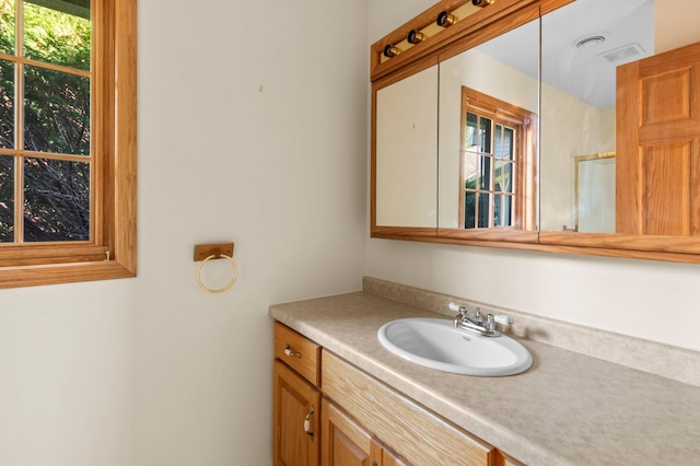 bathroom with vanity and plenty of natural light