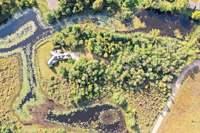 bird's eye view with a water view