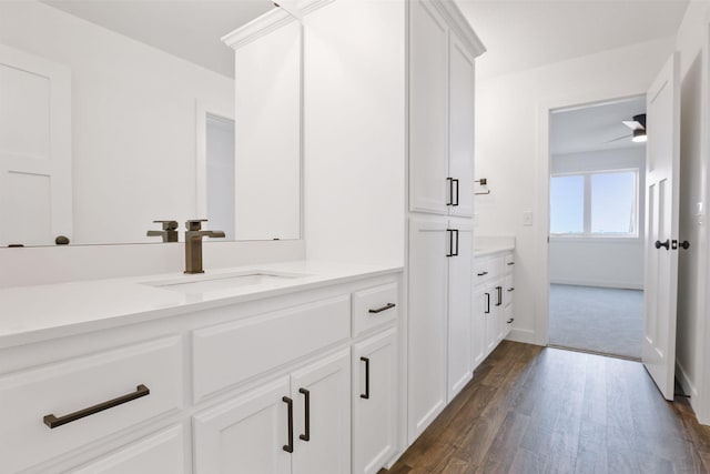 bathroom featuring vanity, ceiling fan, and wood-type flooring