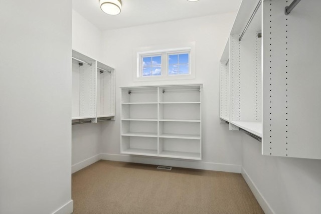 walk in closet with light carpet