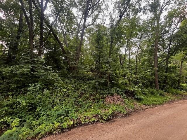 XXX 109th St NW, South Haven MN, 55382 land for sale