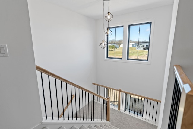 stairway featuring carpet