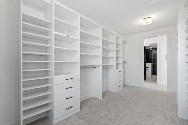 spacious closet with light colored carpet