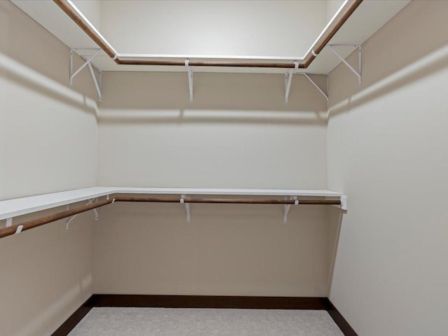 view of walk in closet