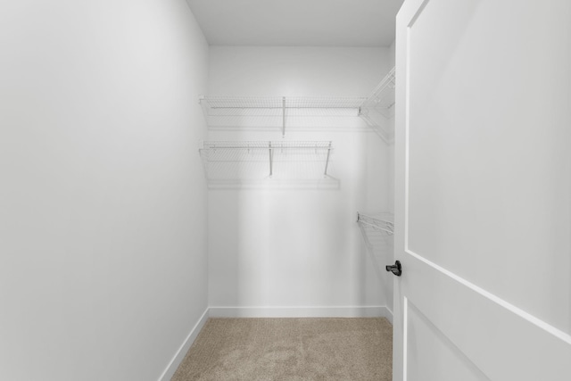 walk in closet with light colored carpet