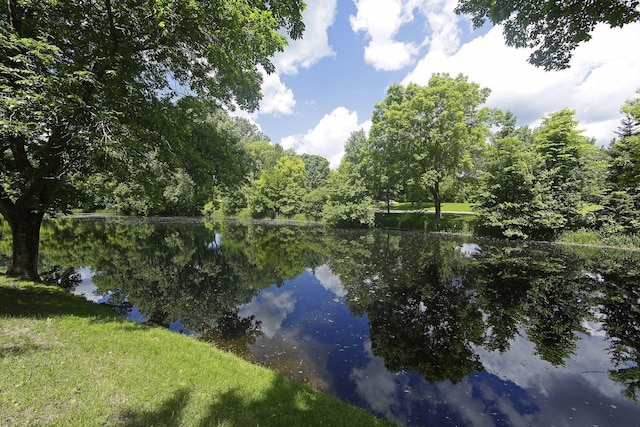 view of water feature