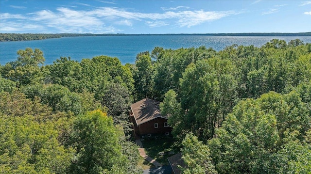 drone / aerial view with a water view