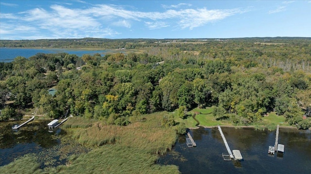 15520 Tamarac Cir NE, Miltona, MN 56354 - bird's eye view with a water view and a forest view