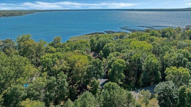 15520 Tamarac Cir NE, Miltona, MN 56354 - aerial view with a water view and a view of trees