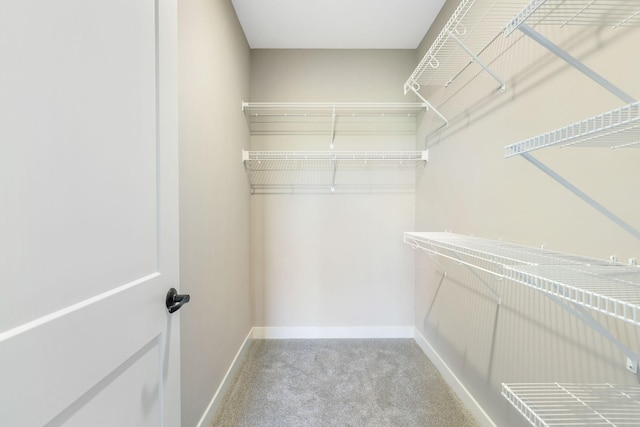 walk in closet with carpet