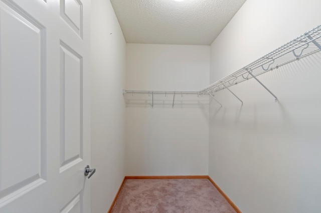 spacious closet featuring light carpet